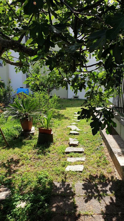 Lav Apartments Herceg Novi Bagian luar foto
