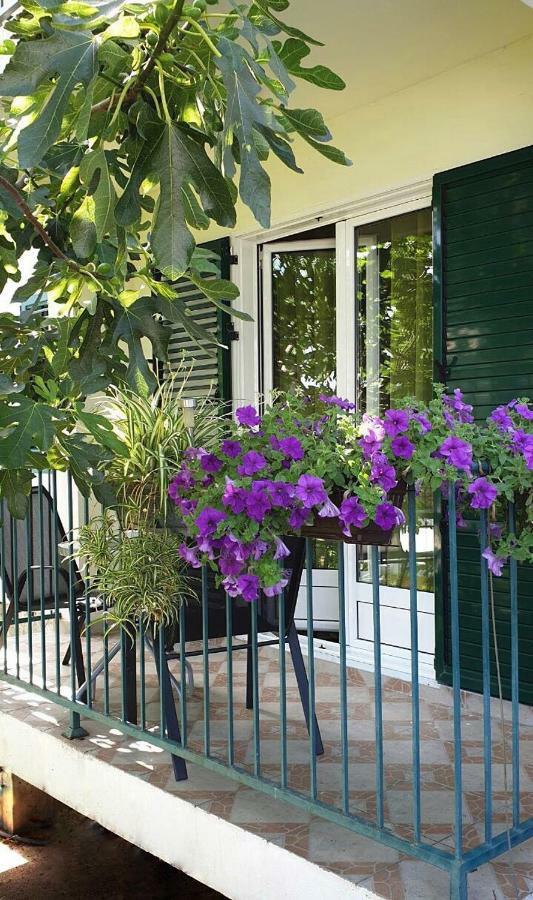Lav Apartments Herceg Novi Bagian luar foto